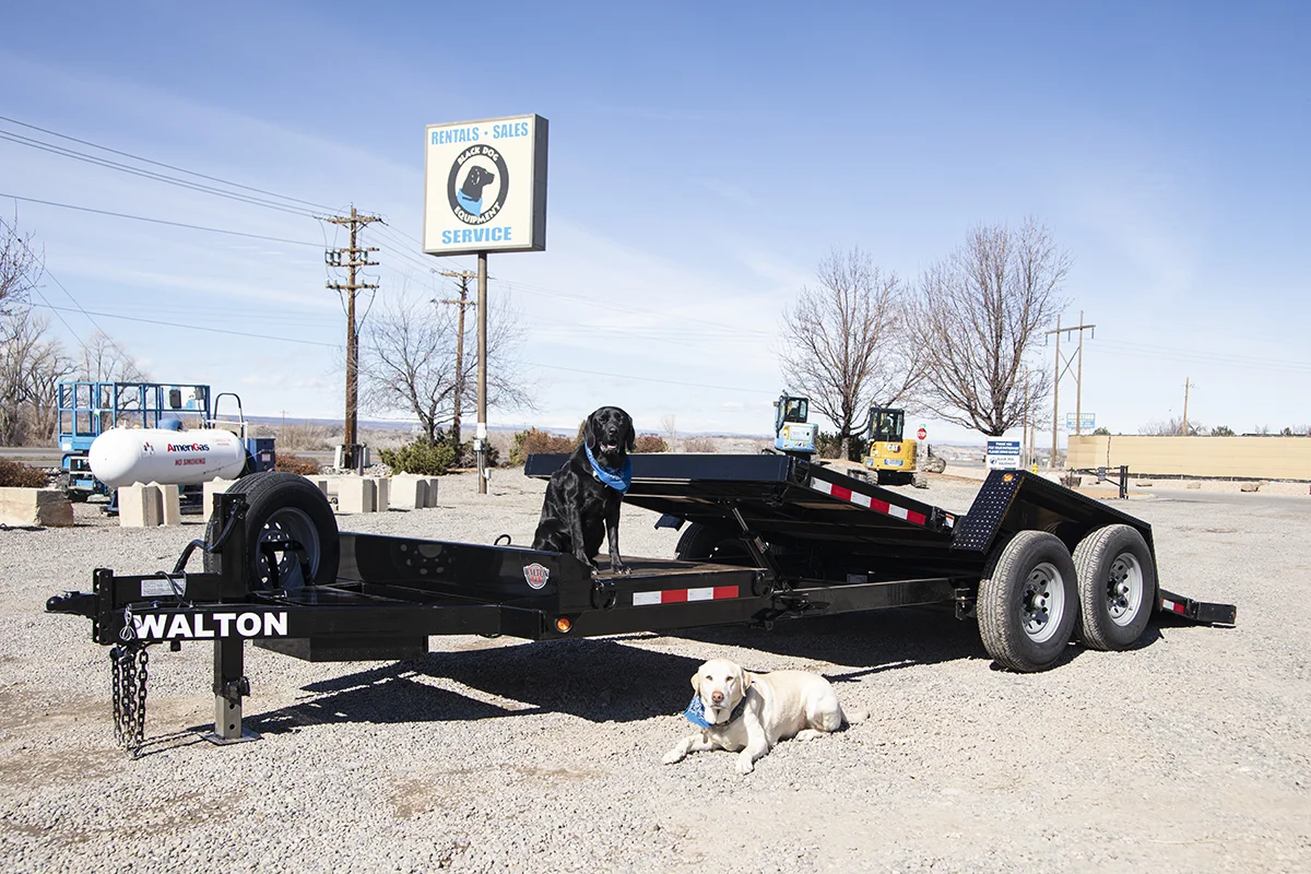 Walton Tilt Trailer SST1420-T1004 tilted with dogs
