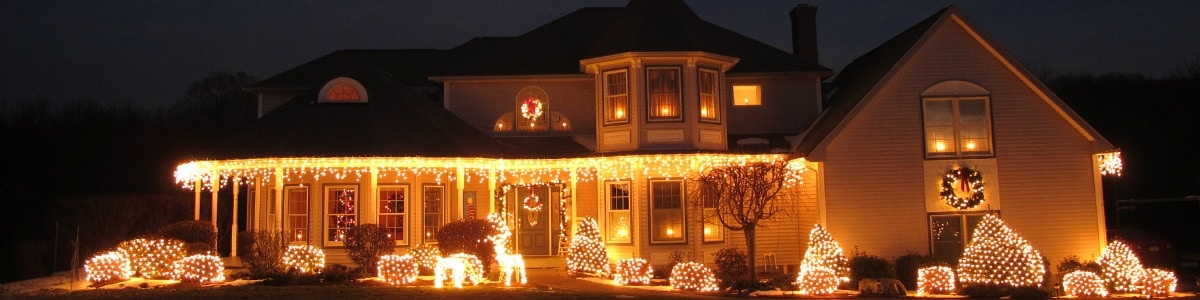 black dog equipment rental for christmas lights Avada Car Dealer News